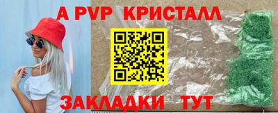 крисы Тула