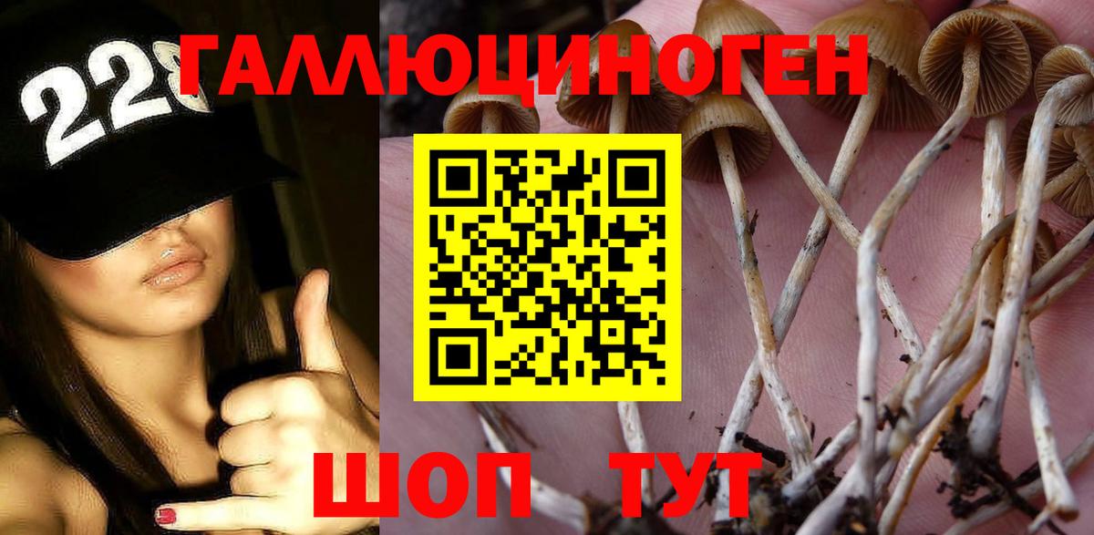 Дедовск  Галлюциногенные грибы мицелий  Вход с VPN 