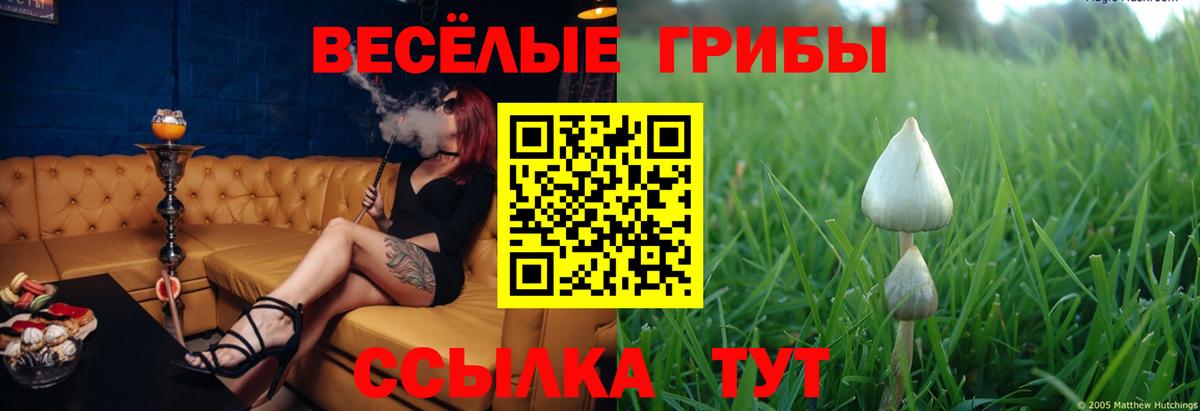 Галлюциногенные грибы Cubensis Дедовск